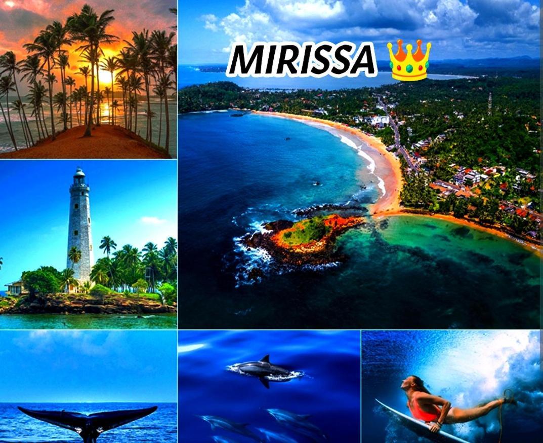 Mirissa Villa Green Pepper Exterior photo
